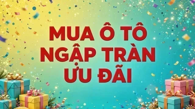 Địa điểm hỗ trợ xem xe tại Hải Phòng